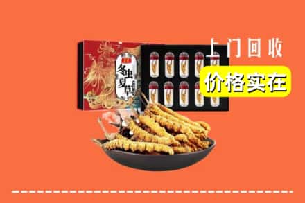 成都市青白江回收冬虫夏草