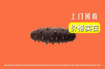 成都市青白江回收海参